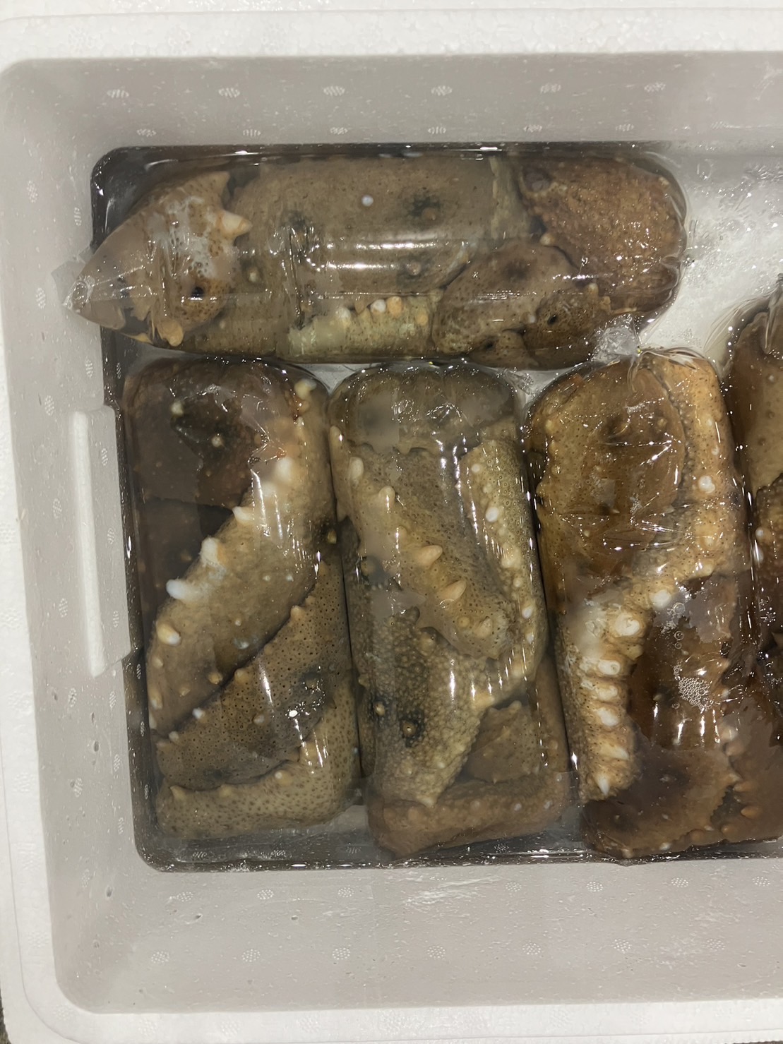 →新物！　明石　アオナマコ　500g入　1p 798