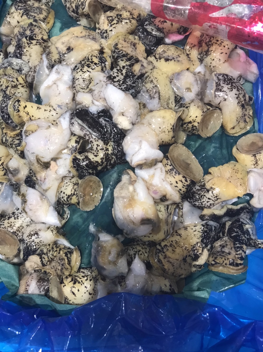 ∞北海道　ムキツブ　A品　1k入　1p 3800