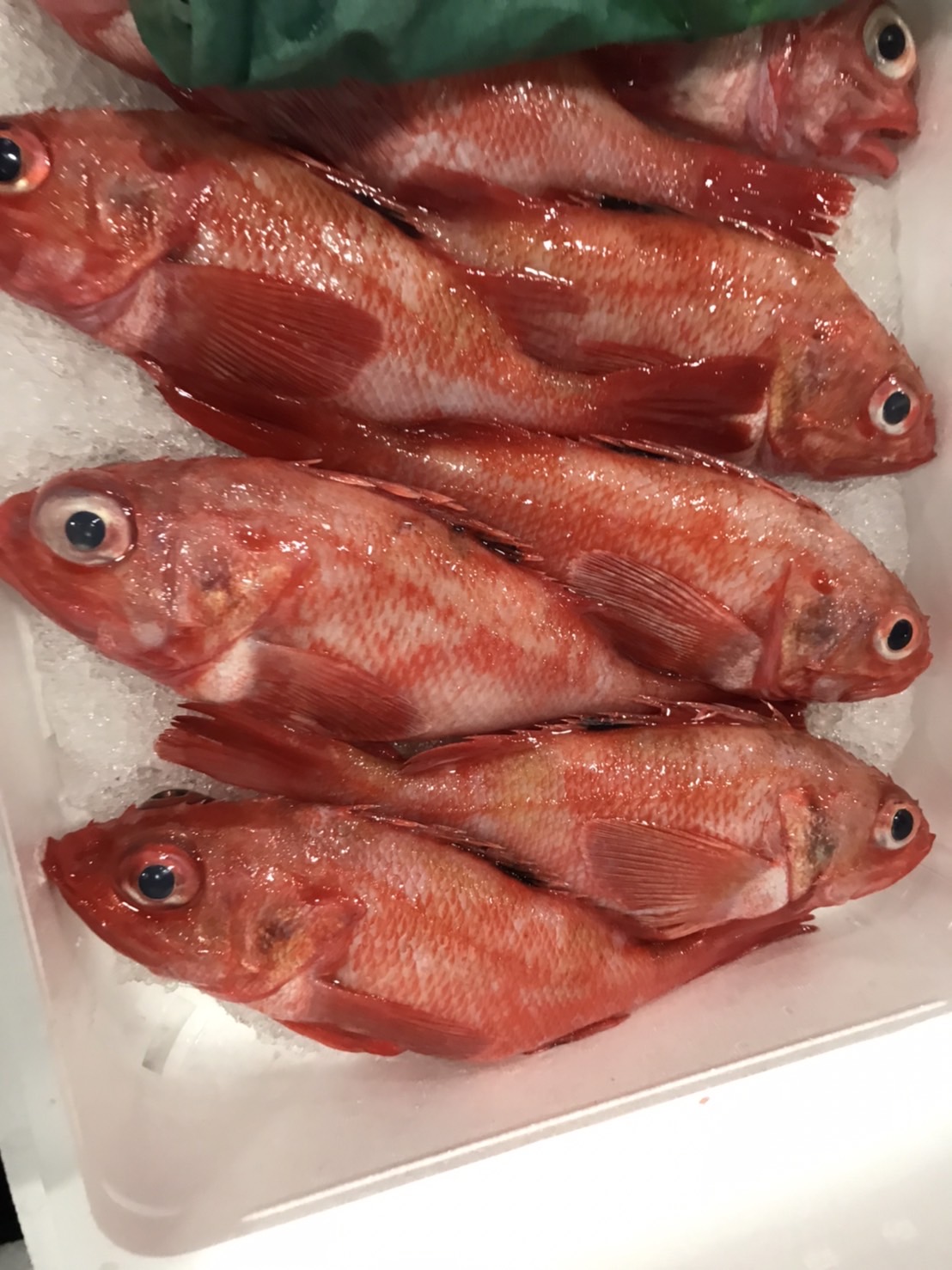 →岩手　キンキ　250g前後　1尾