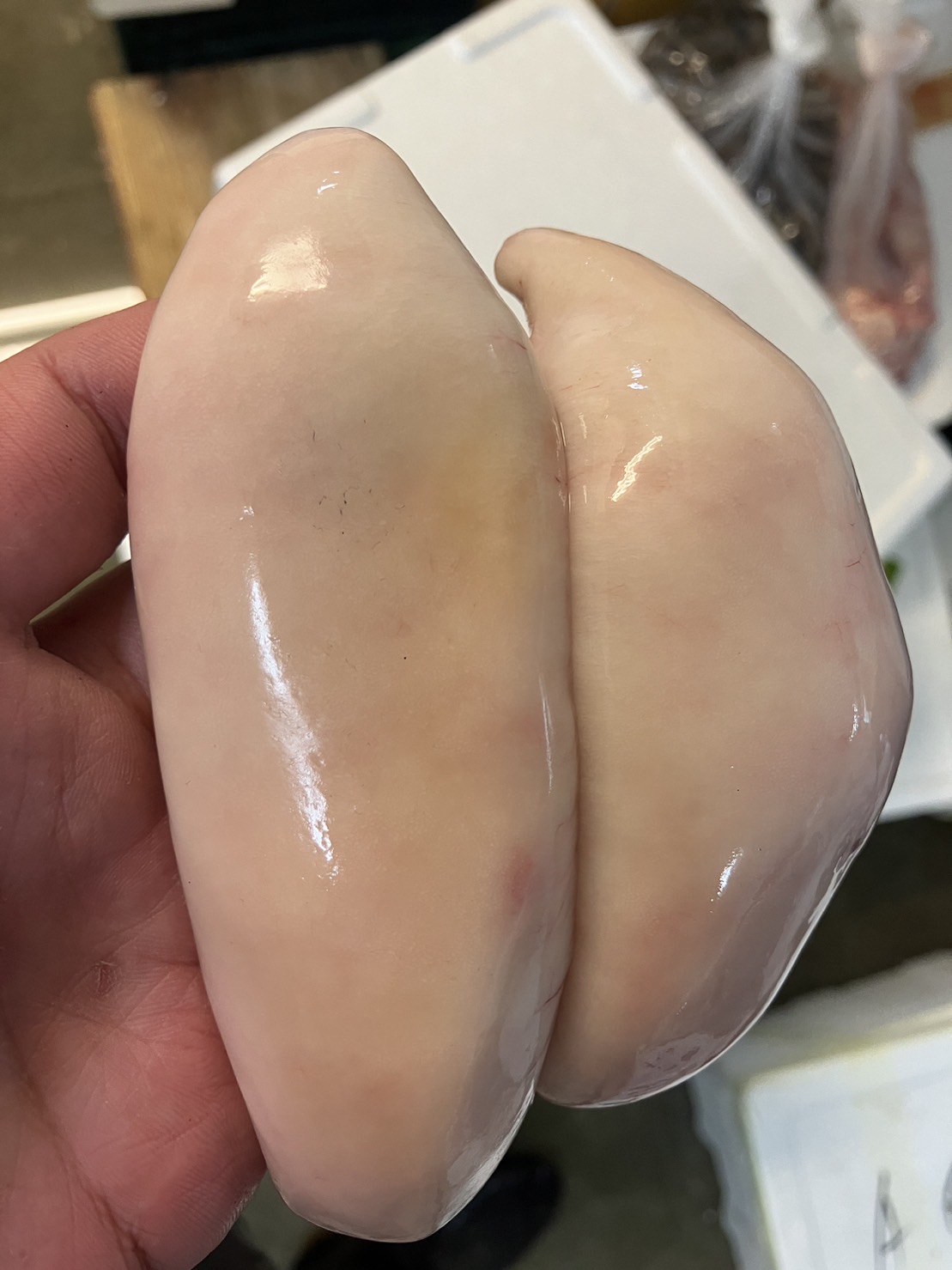 →石川　マフグ白子　500g入　1p1980