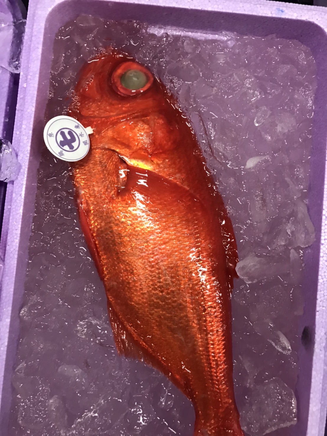 →特売！銚子　地キンメダイ　1k前後　1尾　k3500